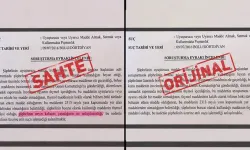 ‘Neyin kafasını yaşadığı anlaşılamadı’ ifadeli savcılık kararı iddiasına soruşturma