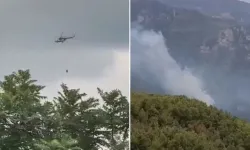 Hatay'da orman yangını