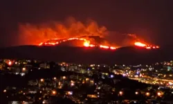 Bodrum’da maki ve ot yangını