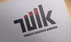 TÜİK mali aracı kuruluşlar sektöründe faaliyet rakamlarını açıkladı
