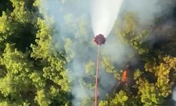 Manavgat'ta yangın kontrol altına alındı