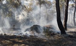 Santral Mahallesi'nde yangın kontrol altında
