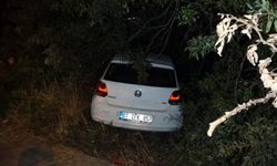 Otomobil bahçeye uçtu