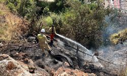 Alanya'da çalılık alanda çıkan yangın söndürüldü