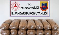 Jandarmadan kaçak tütün operasyonu