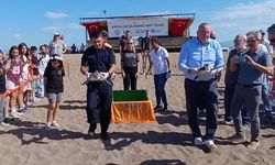 Tedavisi tamamlanan iki yeşil deniz kaplumbağası denize bırakıldı