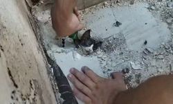 Yağmur suyu giderine sıkışan kediyi itfaiyeciler kurtardı