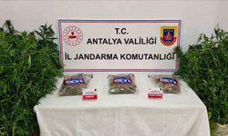 Gazipaşa’da uyuşturucu operasyonu: 1 tutuklama