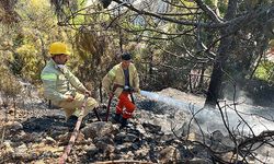Alanya'da çalılık yangını söndürüldü