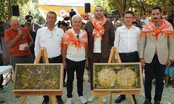 Finike'de 10'uncu Ernez Bal Festivali