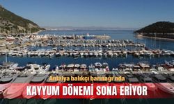 Antalya balıkçı barınağı'nda kayyum dönemi sona eriyor