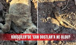 Kirişçiler’de ‘Can Dostlar’a ne oldu?