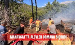 Manavgat’ta alevler ormana sıçradı
