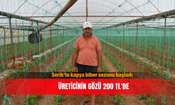 Serik'te kapya biber sezonu başladı: Üreticinin gözü 200 TL'de