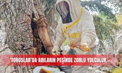 Toroslar’da arıların peşinde zorlu yolculuk