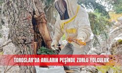 Toroslar’da arıların peşinde zorlu yolculuk