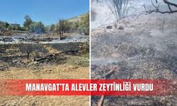 Manavgat’ta alevler zeytinliği vurdu