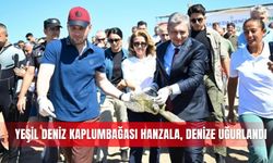 Yeşil deniz kaplumbağası Hanzala, denize uğurlandı