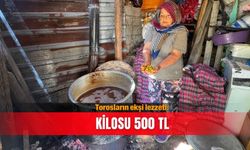 Torosların ekşi lezzeti: Kilosu 500 TL