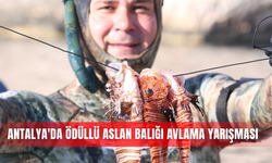 Antalya'da ödüllü aslan balığı avlama yarışması