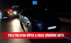 Yola fırlayan köpek 6 aracı birbirine kattı