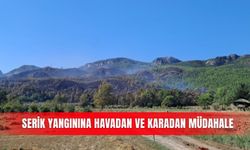Serik yangınına havadan ve karadan müdahale