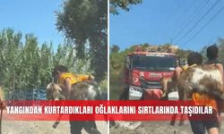 Yangından kurtardıkları oğlaklarını sırtlarında taşıdılar