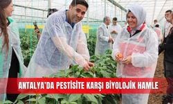 Antalya’da pestisite karşı biyolojik hamle