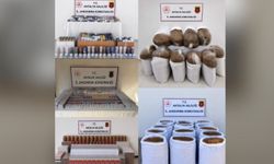 Antalya’da tonlarca kaçak tütün