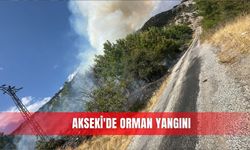 Akseki'de orman yangını