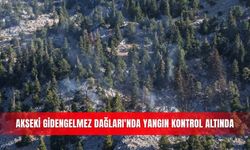 Akseki Gidengelmez Dağları'nda yangın kontrol altında