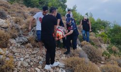 Hollandalı kadın doğa yürüyüşünde yaralandı
