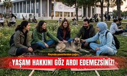 Hayvan severlerden çağrı: Yaşam hakkını göz ardı edemezsiniz!