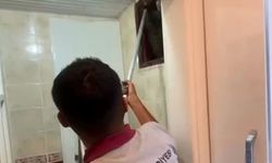Alanya'da havalandırma bacasına düşen kedi kurtarıldı