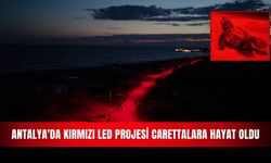 Antalya'da kırmızı LED projesi carettalara hayat oldu