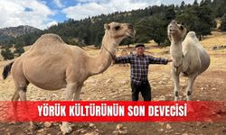 Yörük kültürünün son devecisi