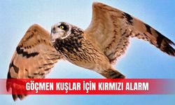 Göçmen kuşlar için kırmızı alarm