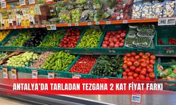 Antalya’da tarladan tezgaha 2 kat fiyat farkı
