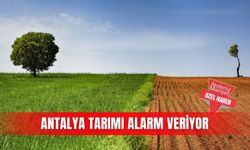 Antalya tarımı alarm veriyor