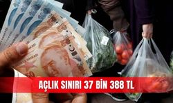 Açlık sınırı 37 bin 388 TL