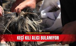 Yörüklerin kırkım mesaisi başladı: Keçi kılı alıcı bulamıyor