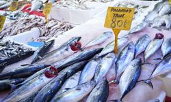 Karadeniz’de palamut patlaması: Tanesi 80 TL