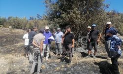 Serik'te yangın sonrası hasar tespiti