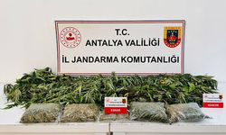 Alanya'da uyuşturucu operasyonuna 1 gözaltı
