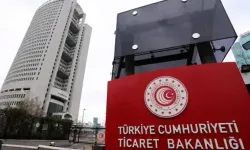 Kapıkule Gümrük Kapısı'nda 67 canlı piton ele geçirildi