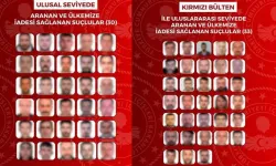 Ulusal ve uluslararası düzeyde aranan 63 suçlu yakalanarak Türkiye'ye iade edildi