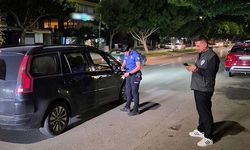 Antalya'da 184 şüpheli tutuklandı