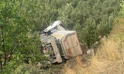 Kum yüklü tır elma bahçesine uçtu