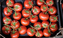 ATB eylül hal endeksini açıkladı