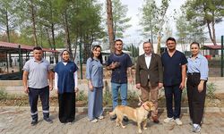 Aksu yangınından etkilenen hayvanlar yuvalarına kavuştu